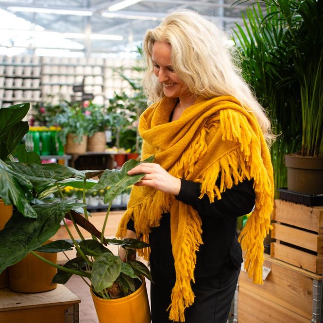 Huvudbild Sjal i mohairmix - ockragul